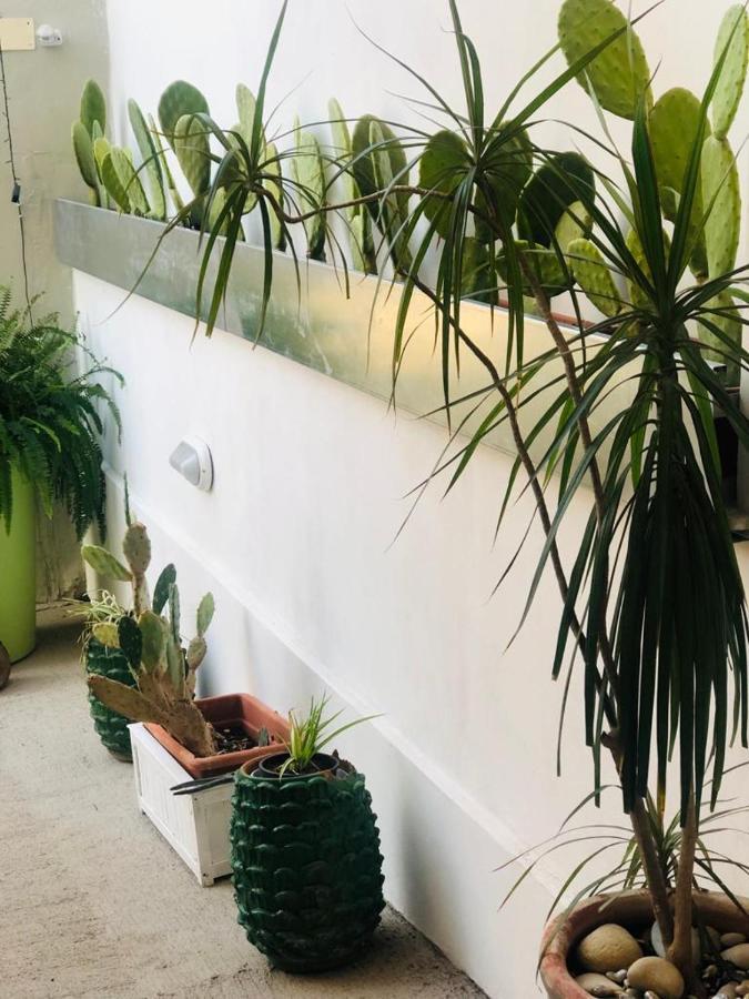Sicily Holiday House Appartement Avola Buitenkant foto