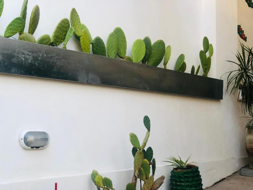 Sicily Holiday House Appartement Avola Buitenkant foto
